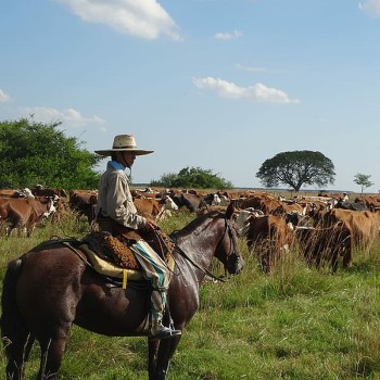 Buenos Aires Estancia campestre